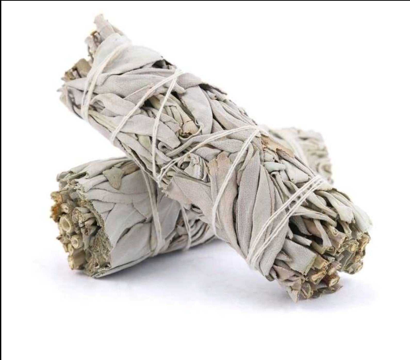 White Sage Smudge Stick (4 in.)