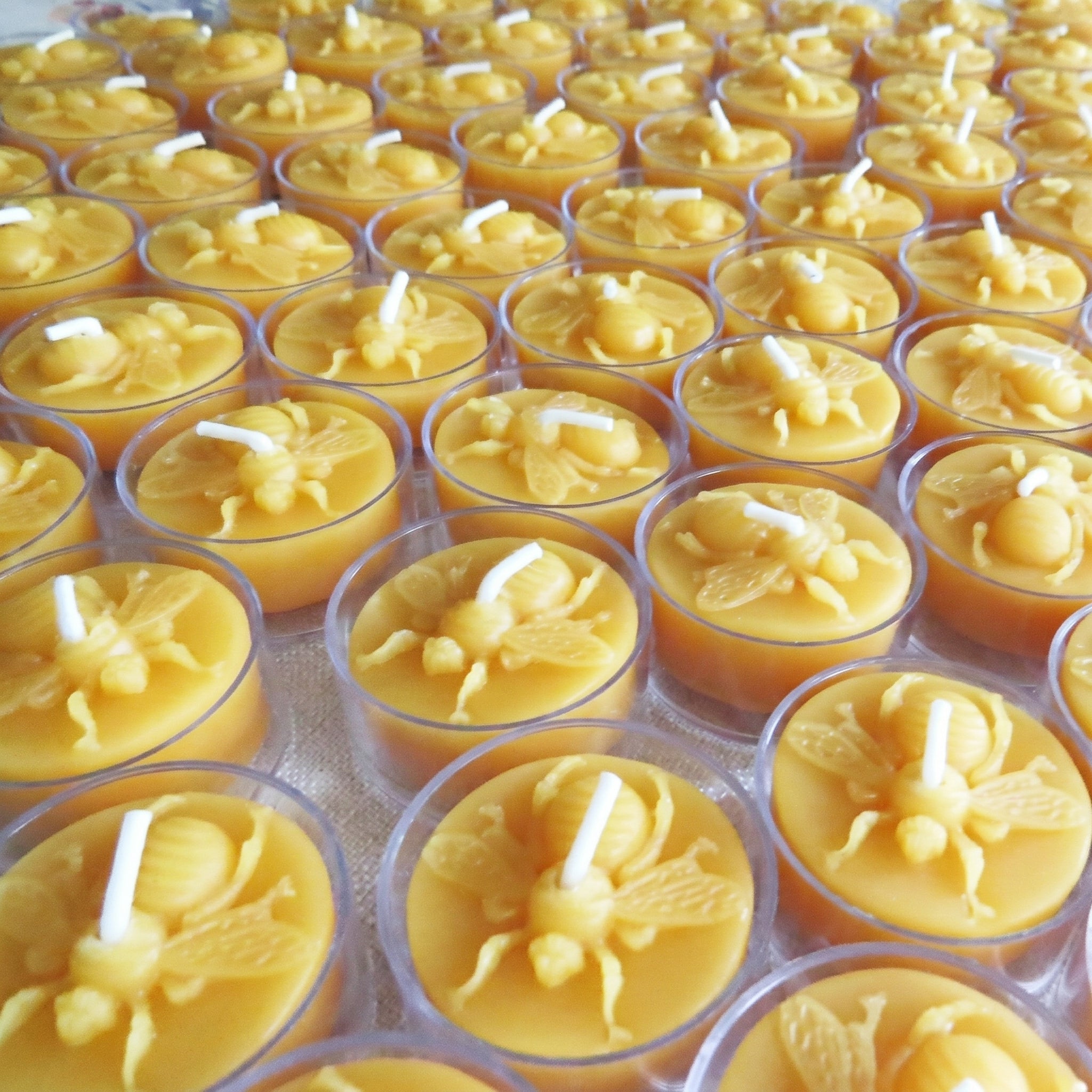 Honey Bee Beeswax Tealight Candles