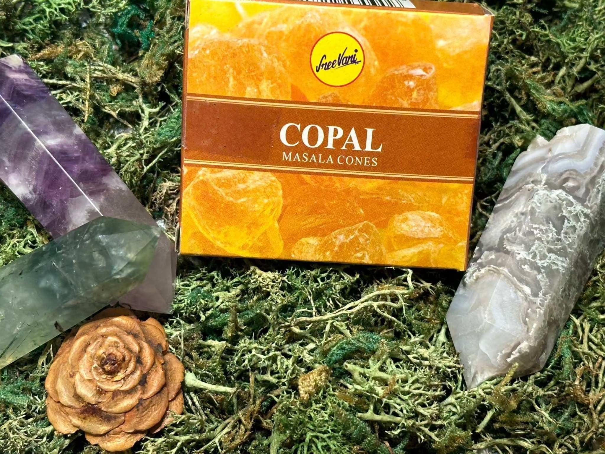Sree Vani Masala Cones