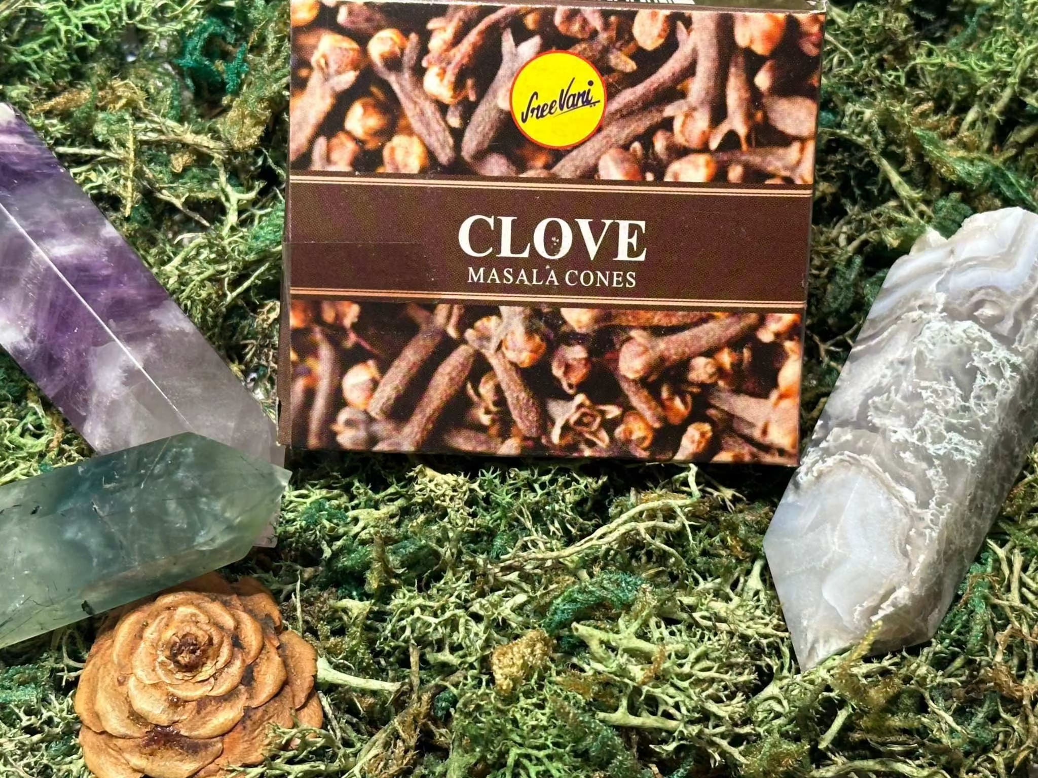 Sree Vani Masala Cones
