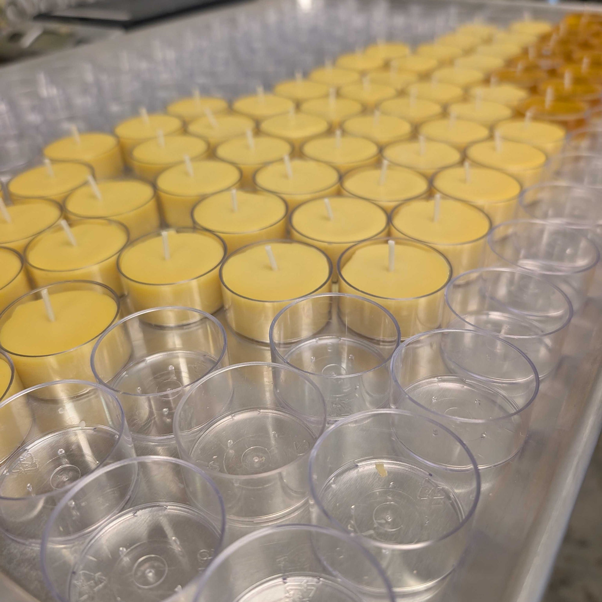 Tea Light Beeswax Candles