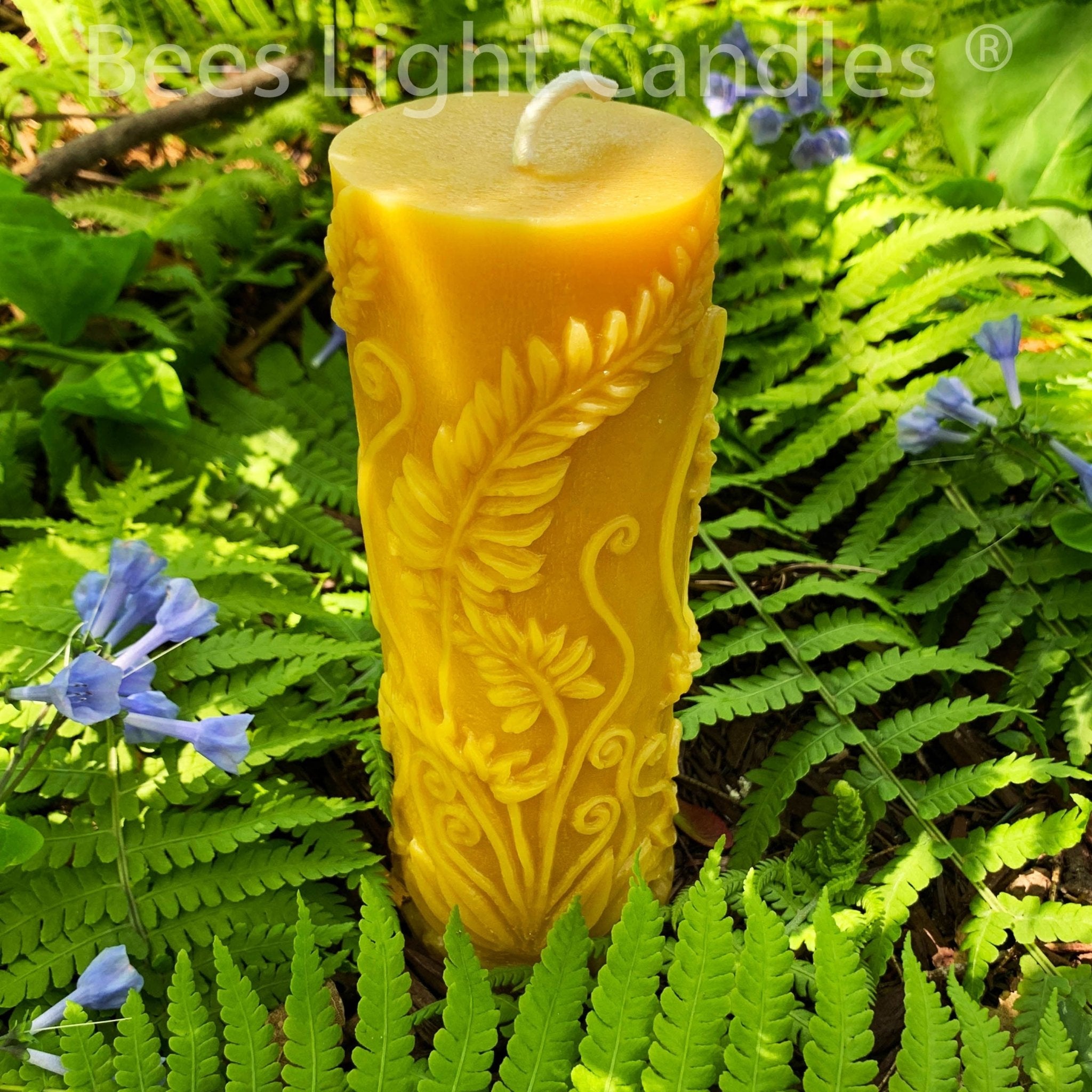 Fern Pillar Beeswax Candle in Yellow or White