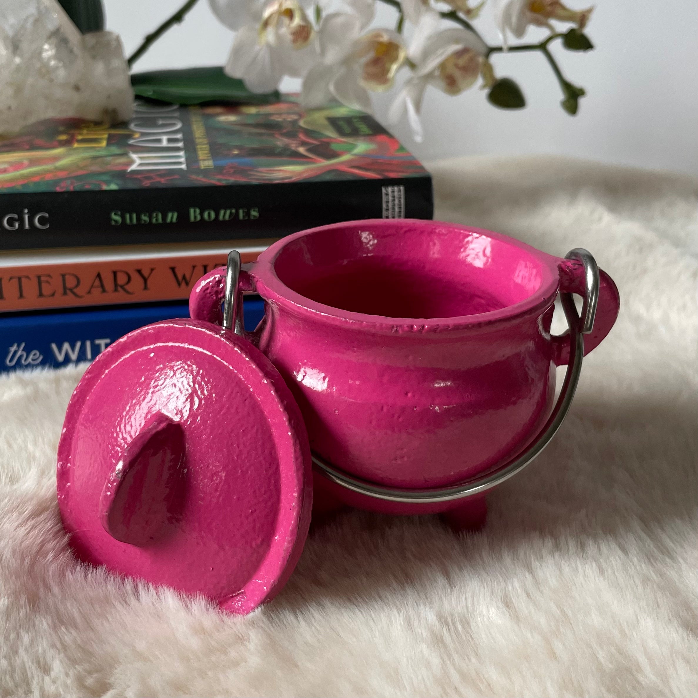 Cast Iron Cauldron with Lid