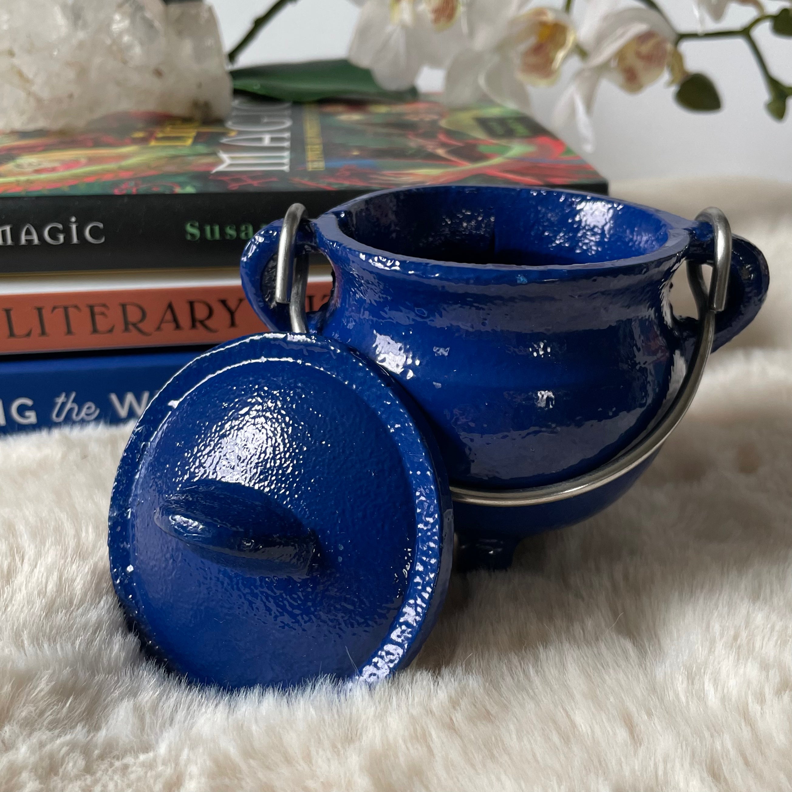 Cast Iron Cauldron with Lid