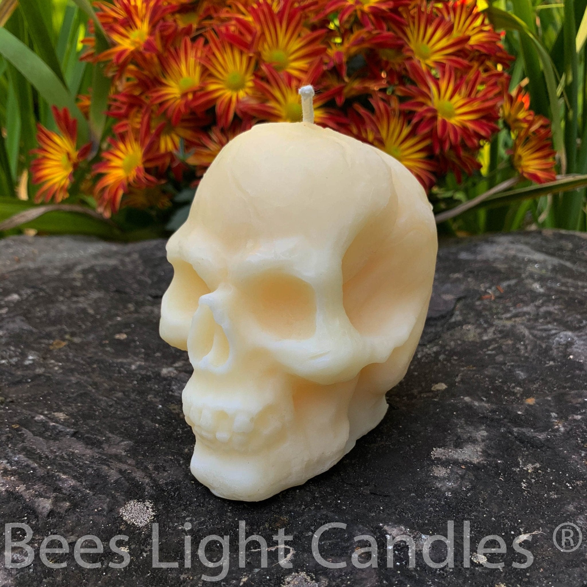 Large Skull Beeswax Candle (White or Yellow)