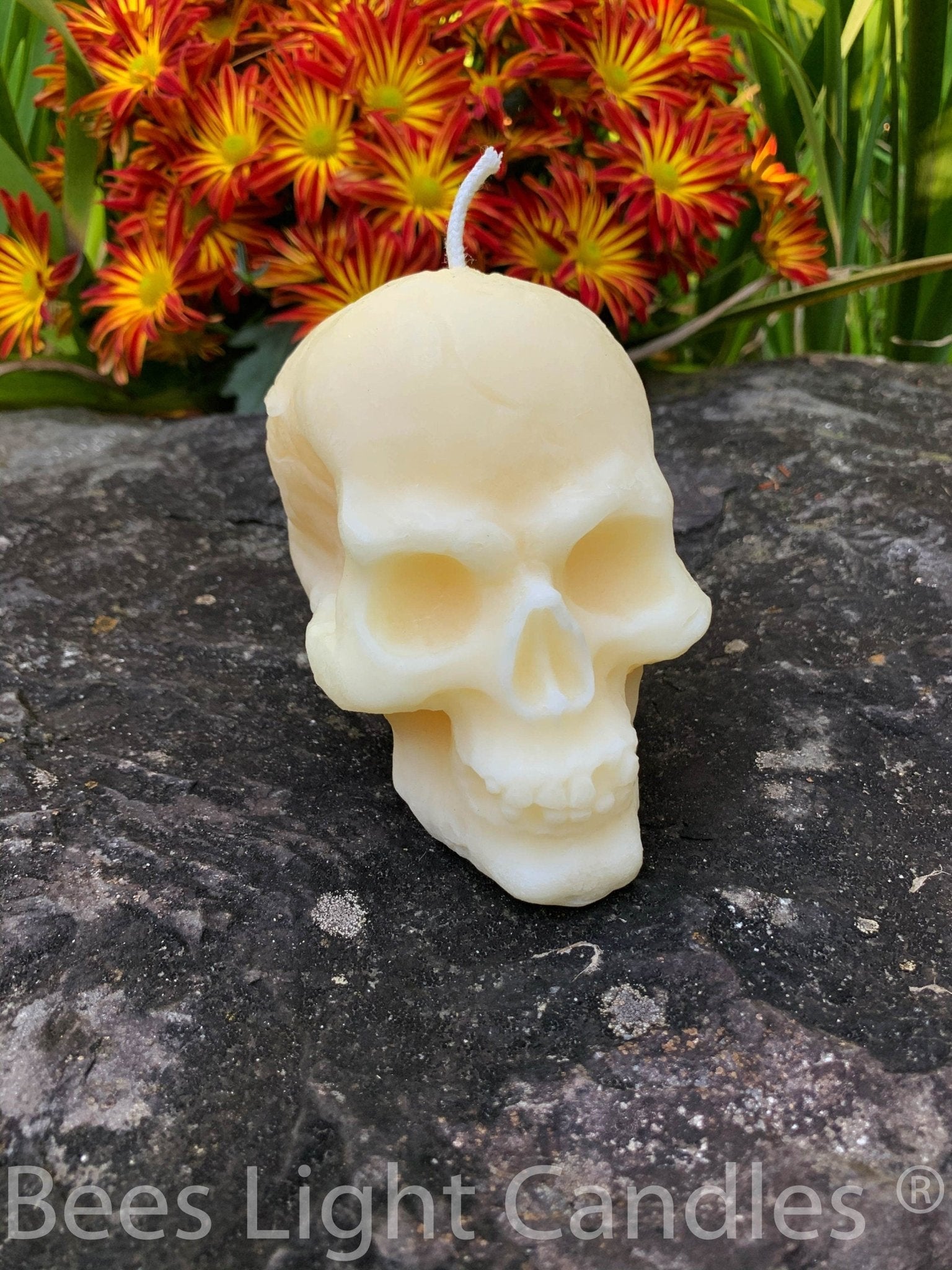Large Skull Beeswax Candle (White or Yellow)