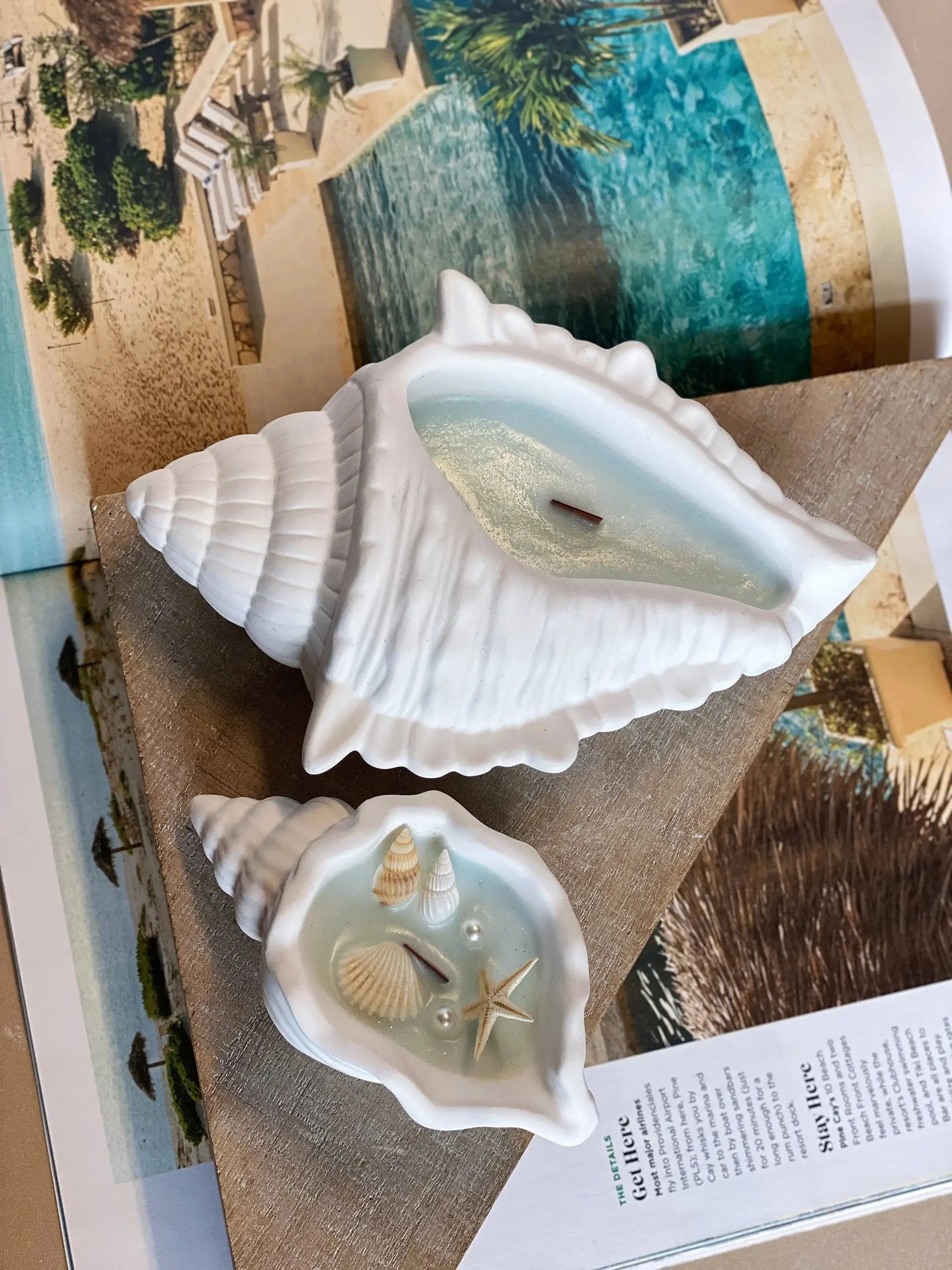 Ocean's Whisper Sea Shell Candle | Jesmonite Vessel