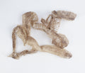 Embrace Transformation: Authentic Snake Skin Sheddings for Potent Magick